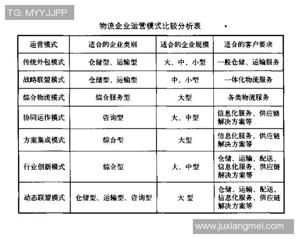 重庆排球队的战术创新与运营体系探讨分析